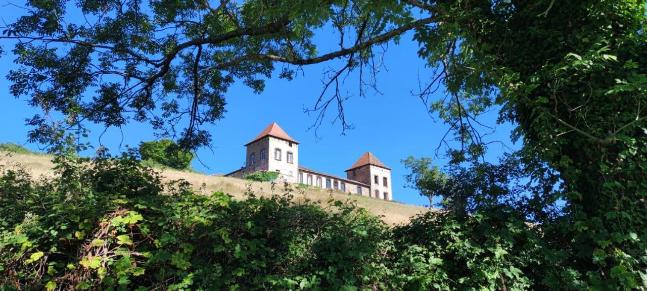 Chateau De Gorze Germolles-sur-Grosne Exterior foto